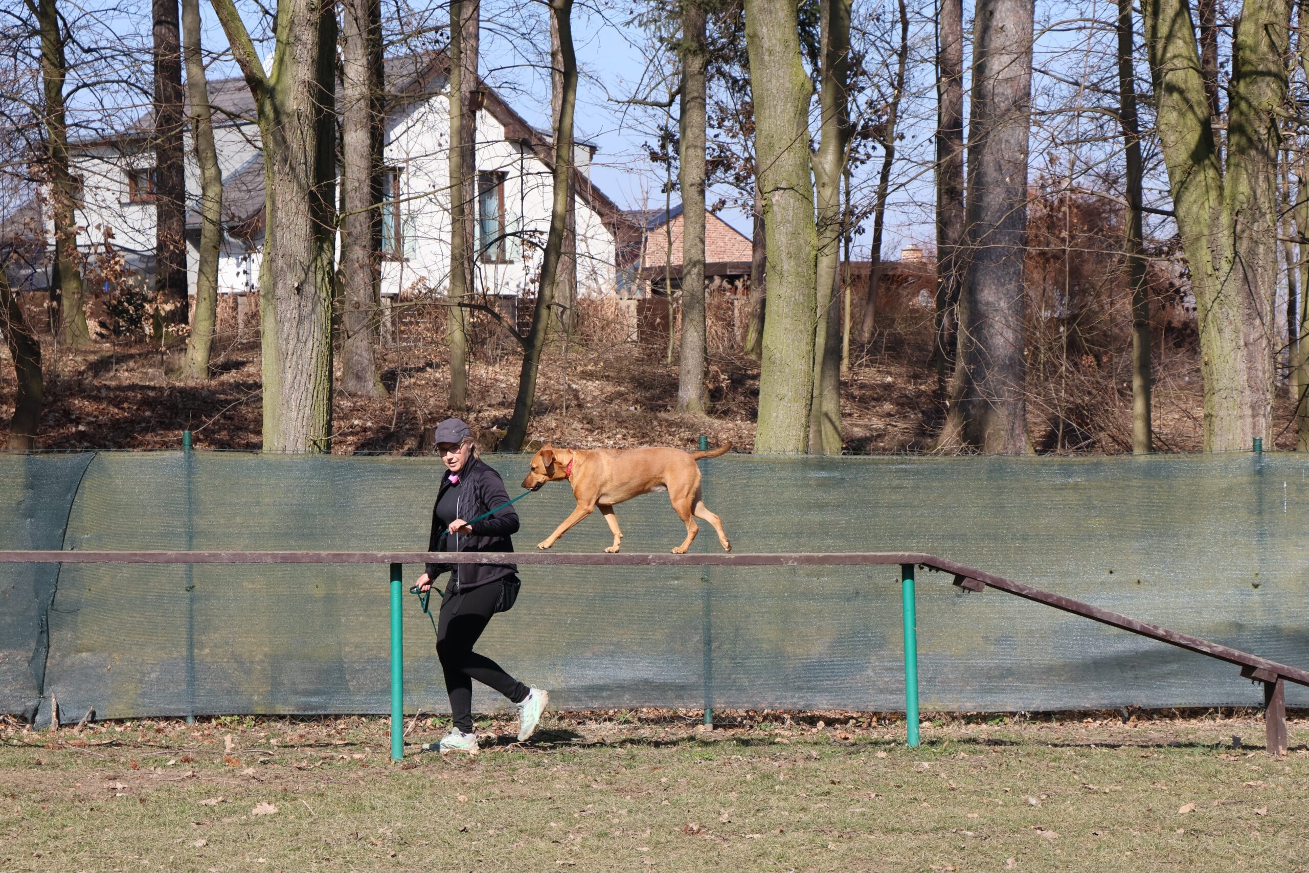 IMG_1271