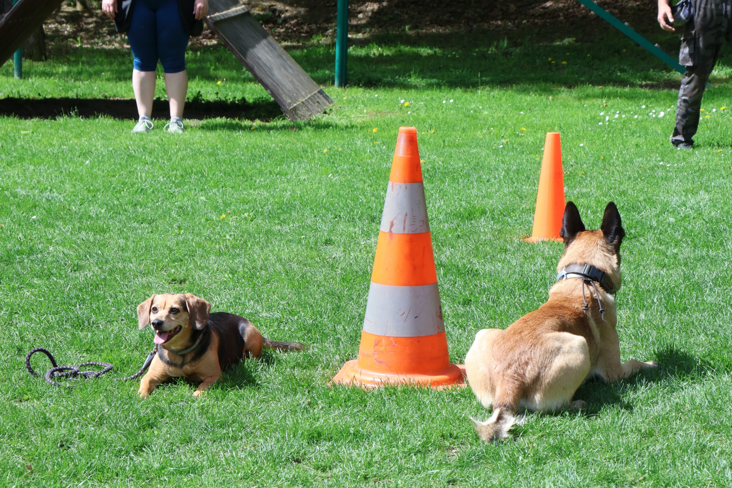 IMG_3528